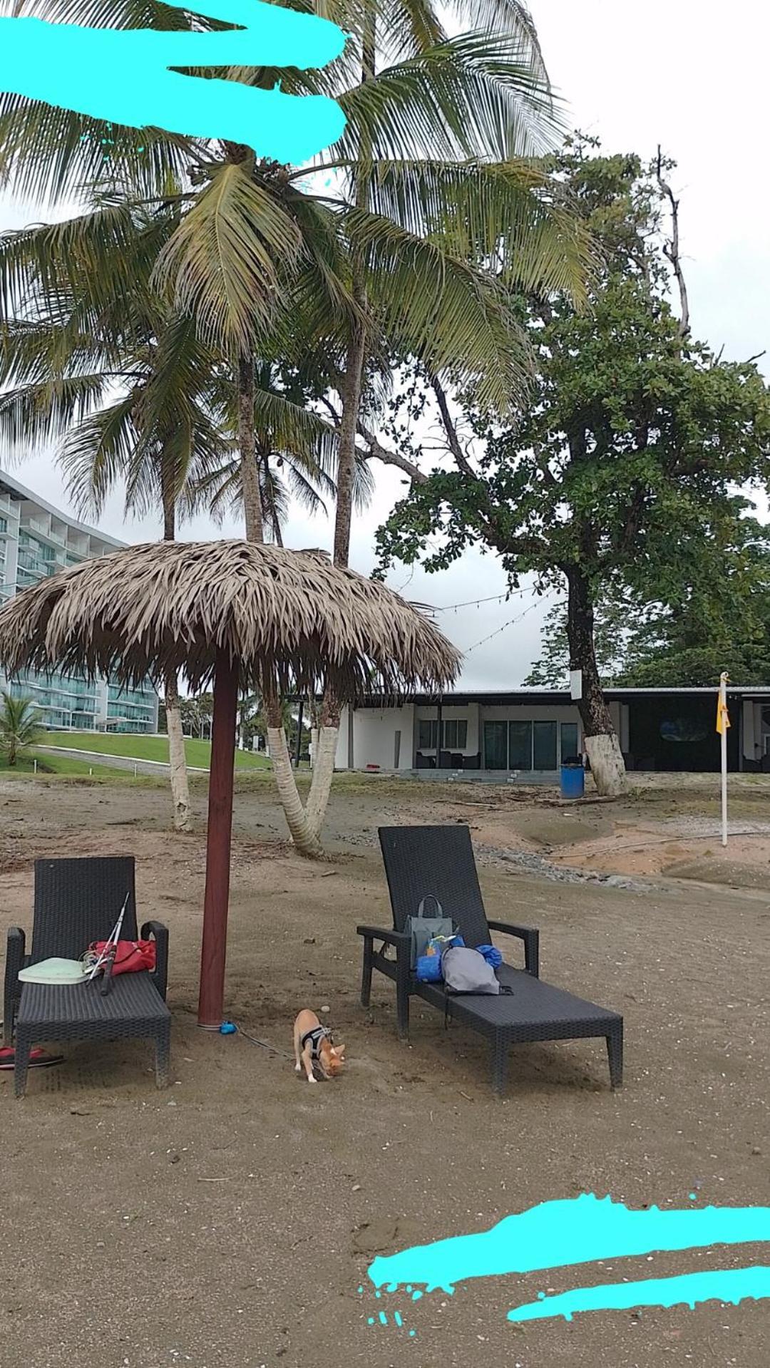 Apartamento en playa del caribe Colon Mariachiquita Balabeach BEACH FRONT Habitación foto