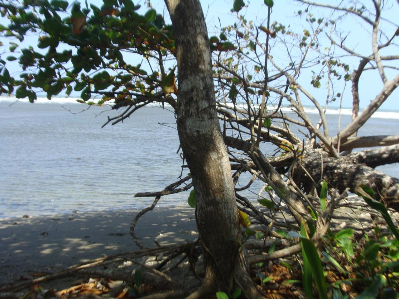 Apartamento en playa del caribe Colon Mariachiquita Balabeach BEACH FRONT Exterior foto