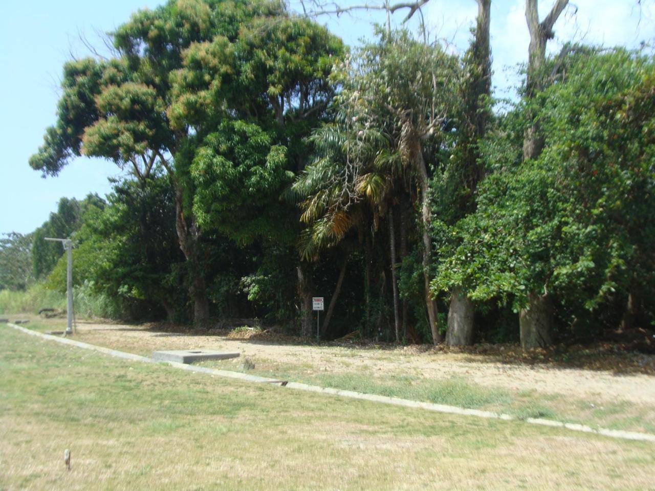 Apartamento en playa del caribe Colon Mariachiquita Balabeach BEACH FRONT Exterior foto